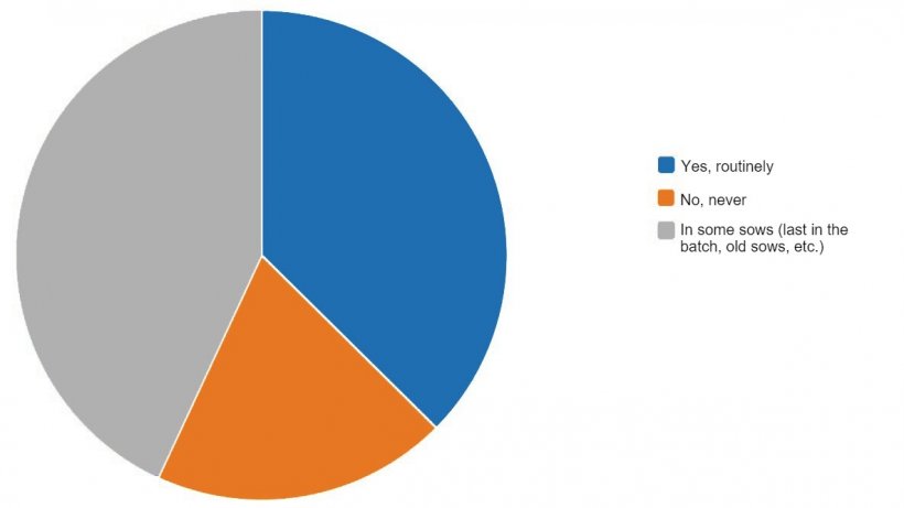 Results of the survey on&nbsp;synchronizing farrowing.
